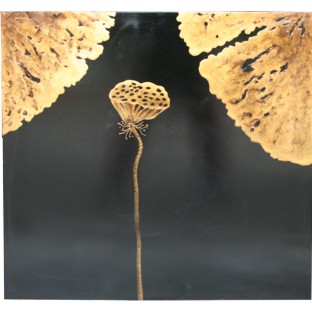 Lotus Wall Hanging Screen -Gold
